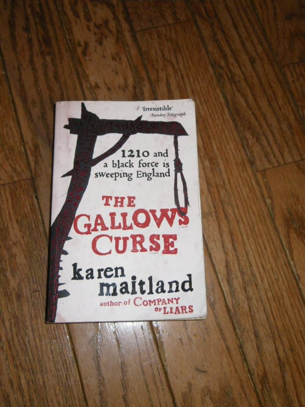 The Gallows Curse by Karen Maitland Large Paperback Book